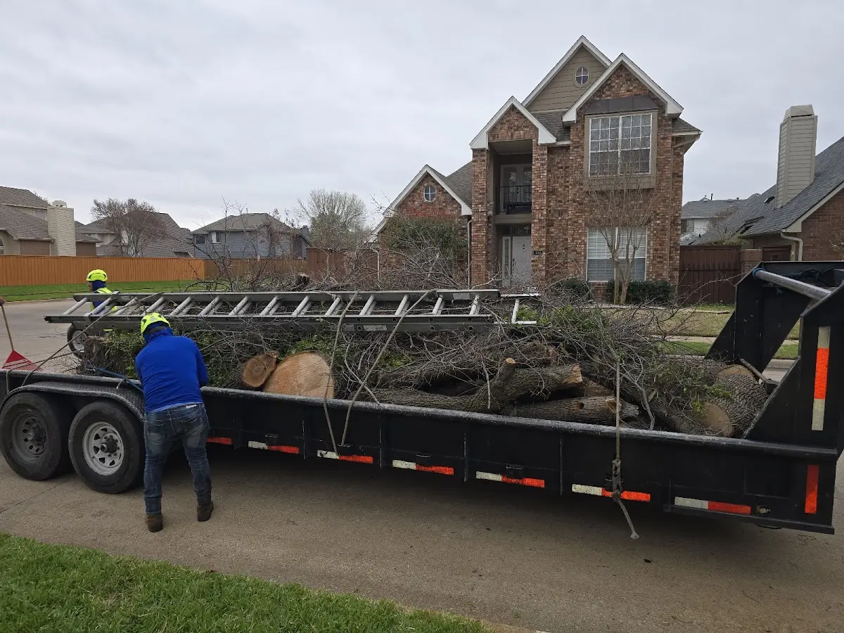Expert Lot Clearing with proper safety equipment in Orogrande
